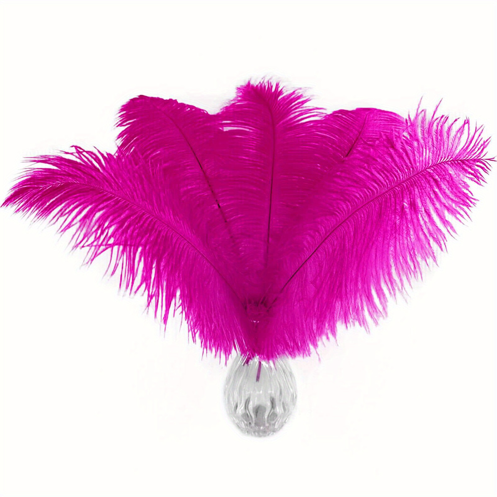 Hot Pink Ostrich Feather - 10-12