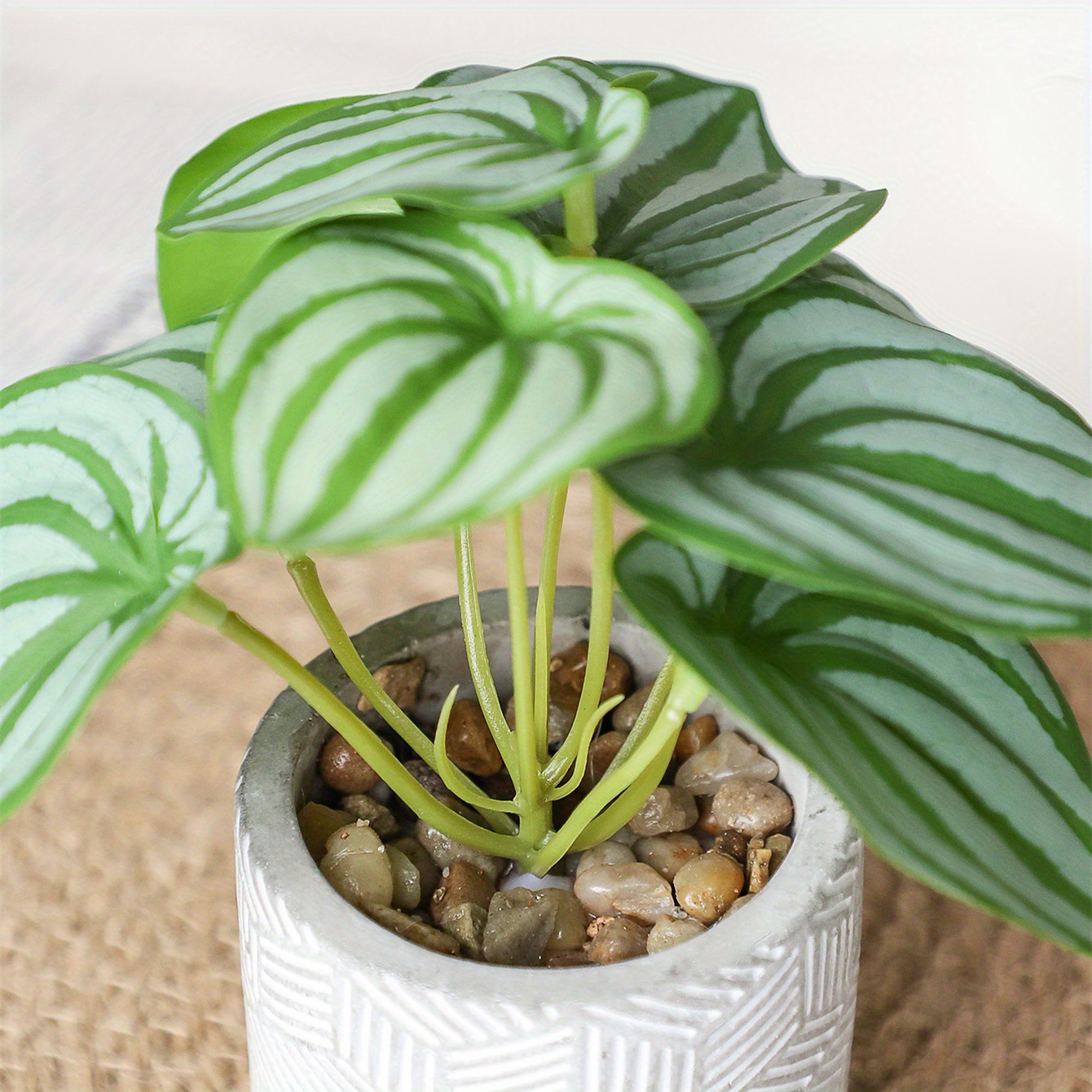 Simulation Small Potted Plants Suitable For Living Room Temu
