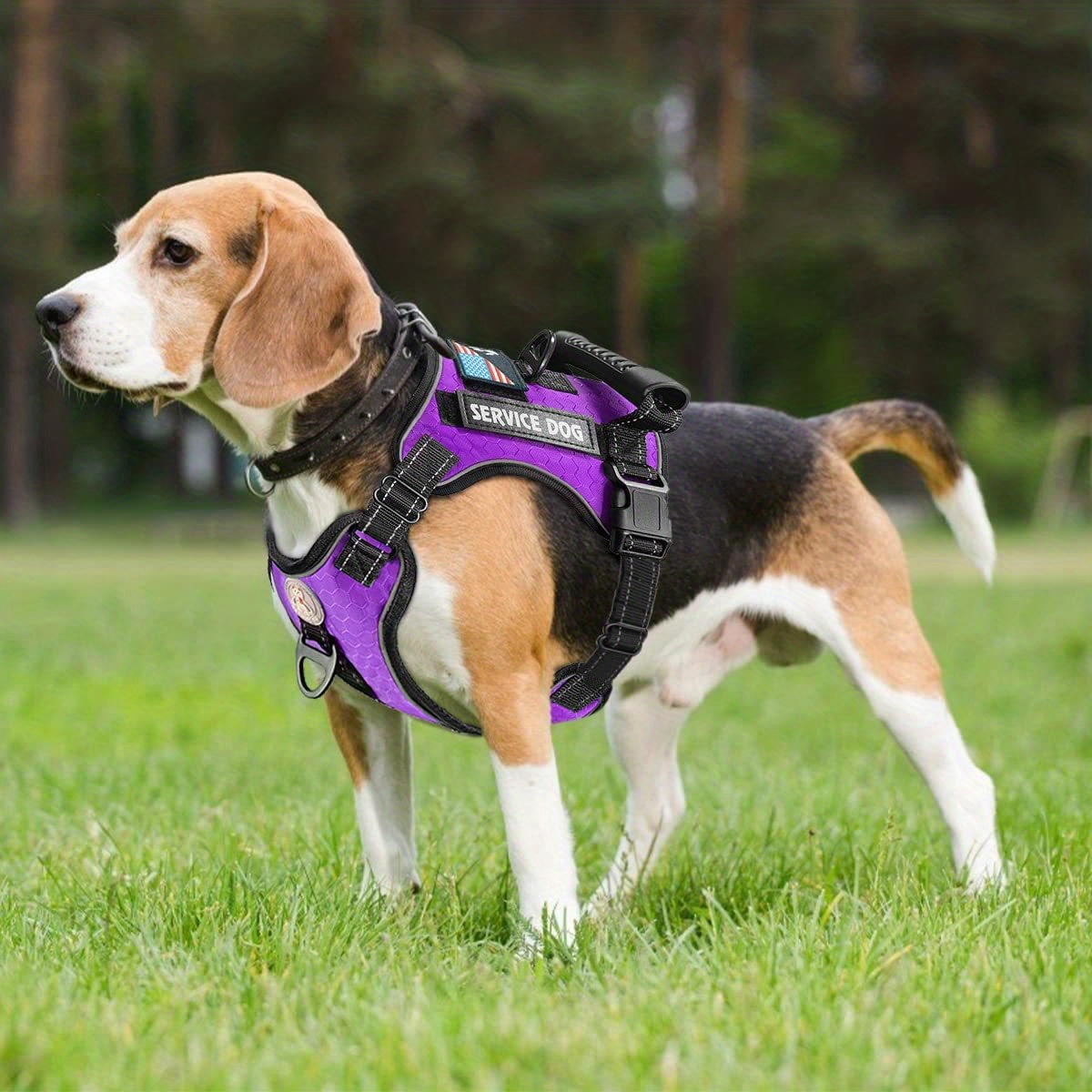 Service dog hotsell harness purple