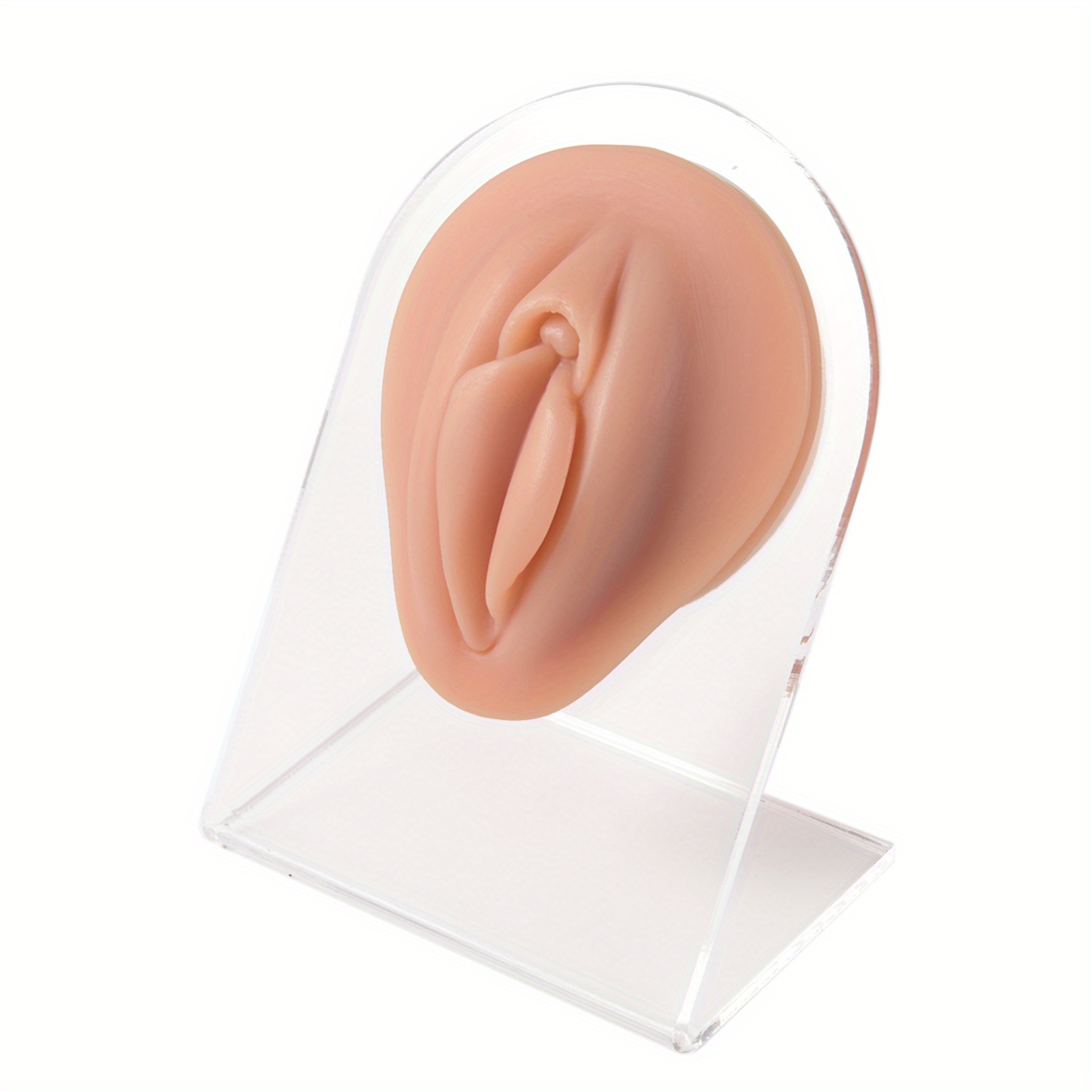 3D Flexible Silicone Human Body Model Displays