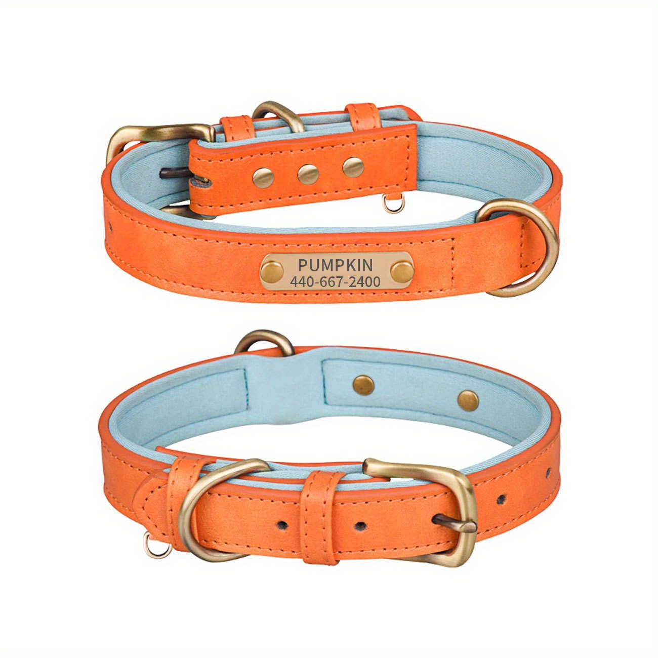 Dog collars shop leather with nameplate