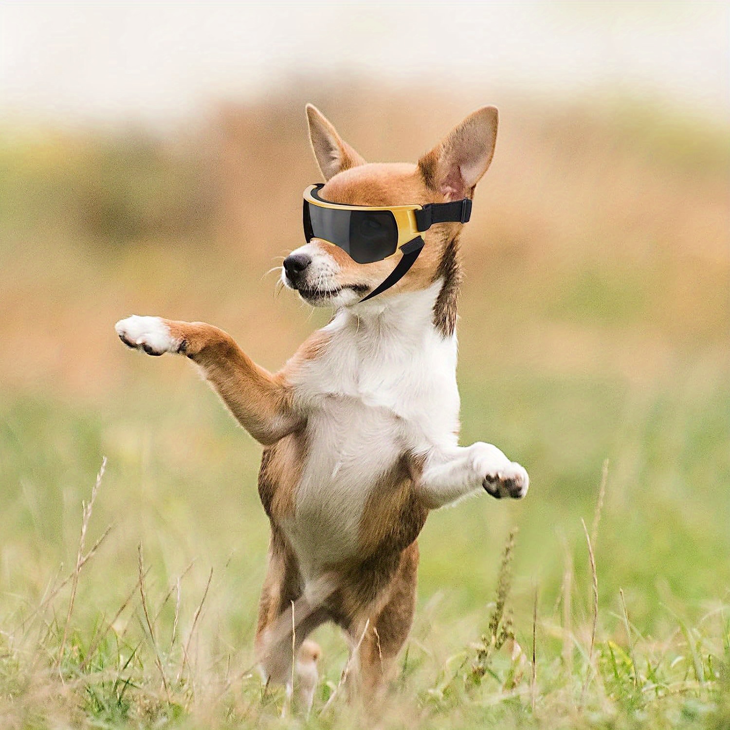 UV Protection Dog Goggles For Small & Medium Dogs - Adjustable Strap Sunglasses For Outdoor Activities