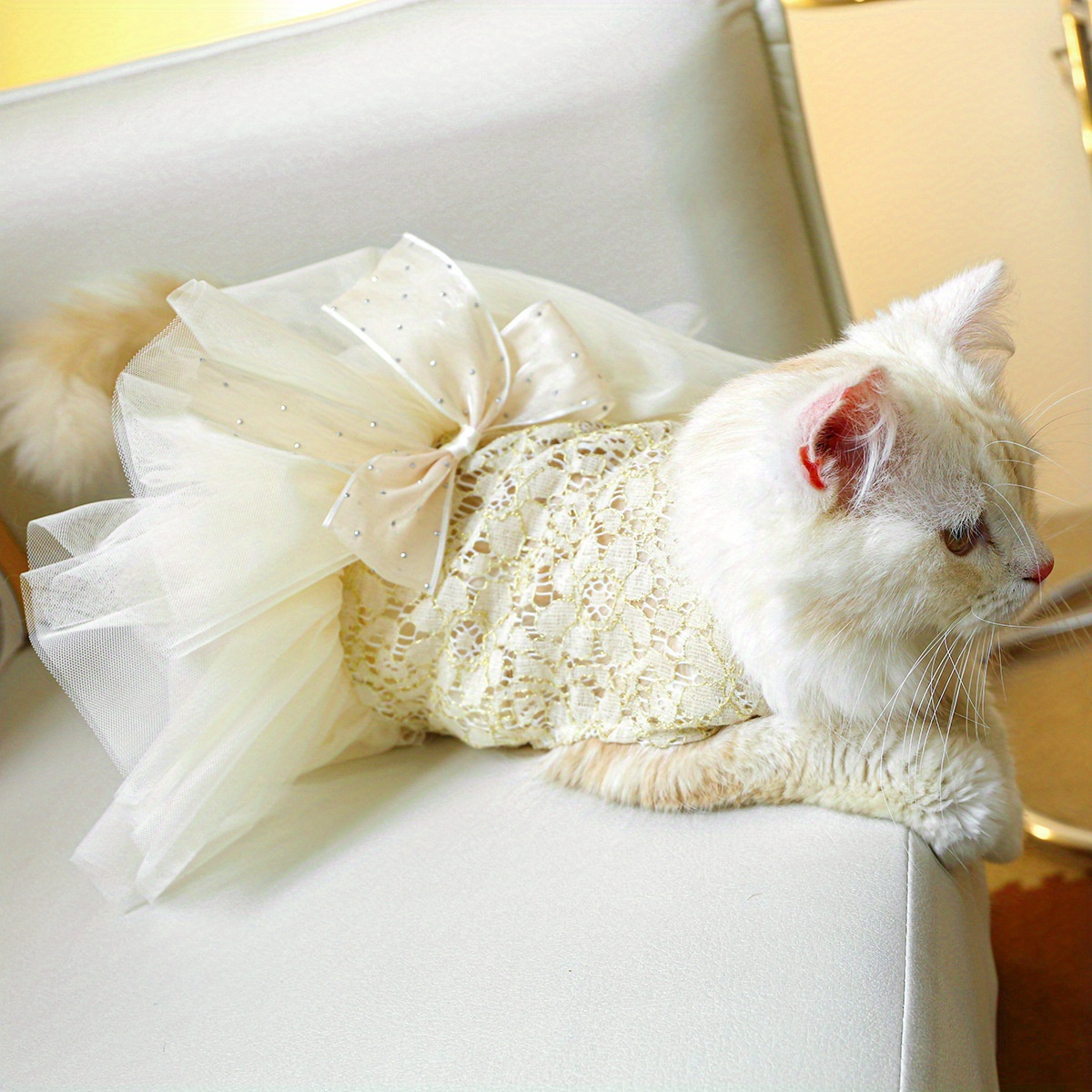 bridesmaid dresses for cats Little Princess Cat Dress