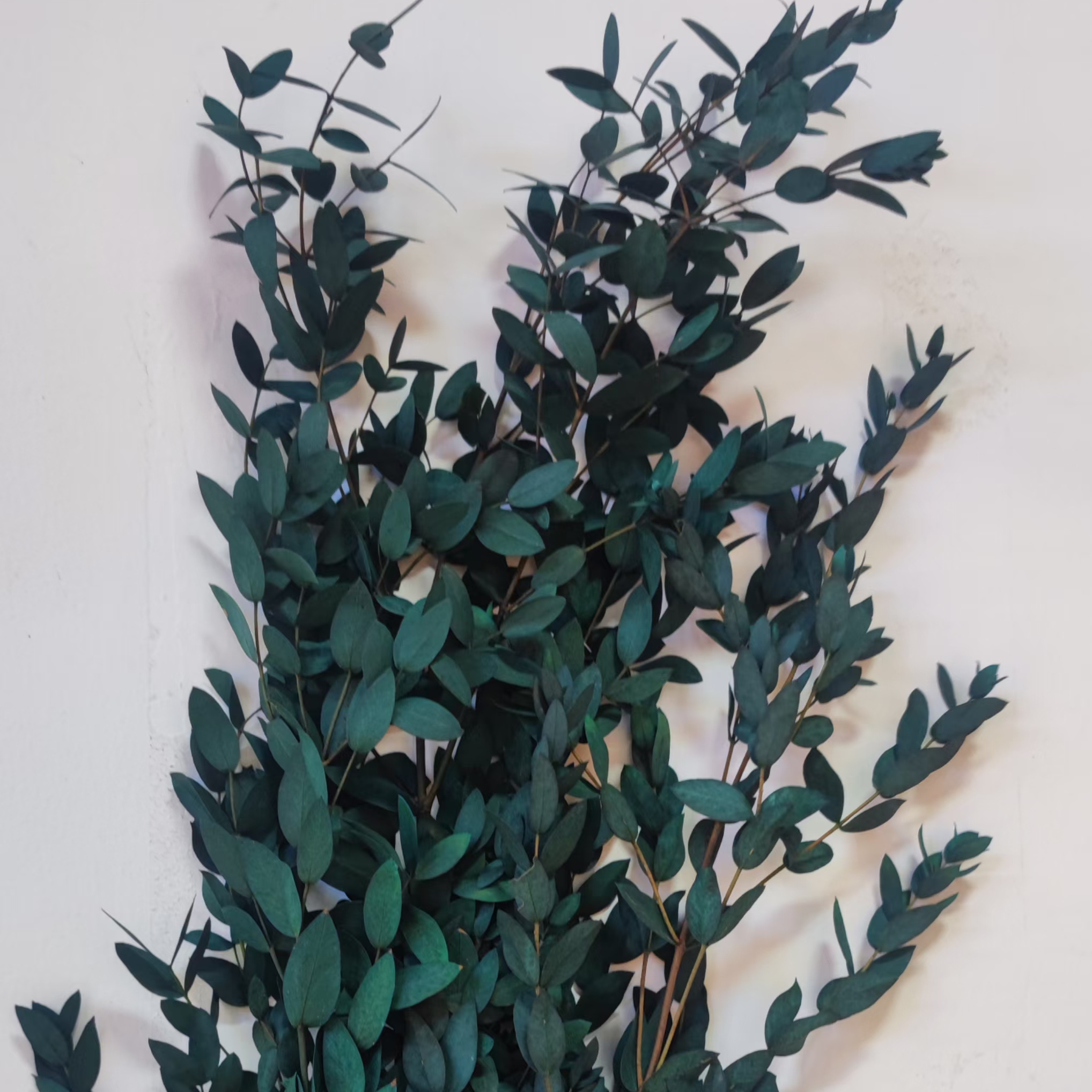 Decoración Fácil: Cómo conservar y mantener el olor de la ramas de eucalipto