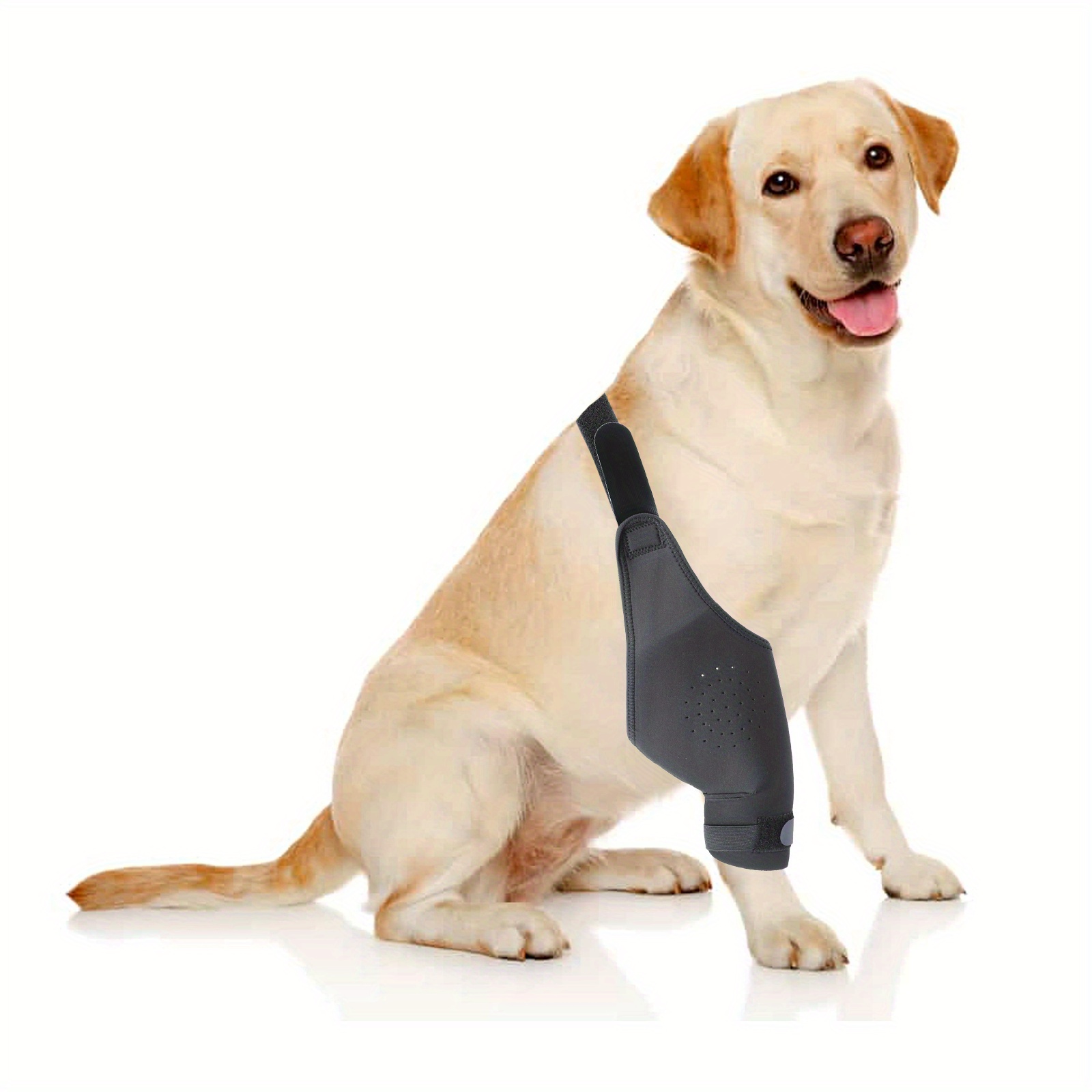 Dog knee outlet compression sleeve