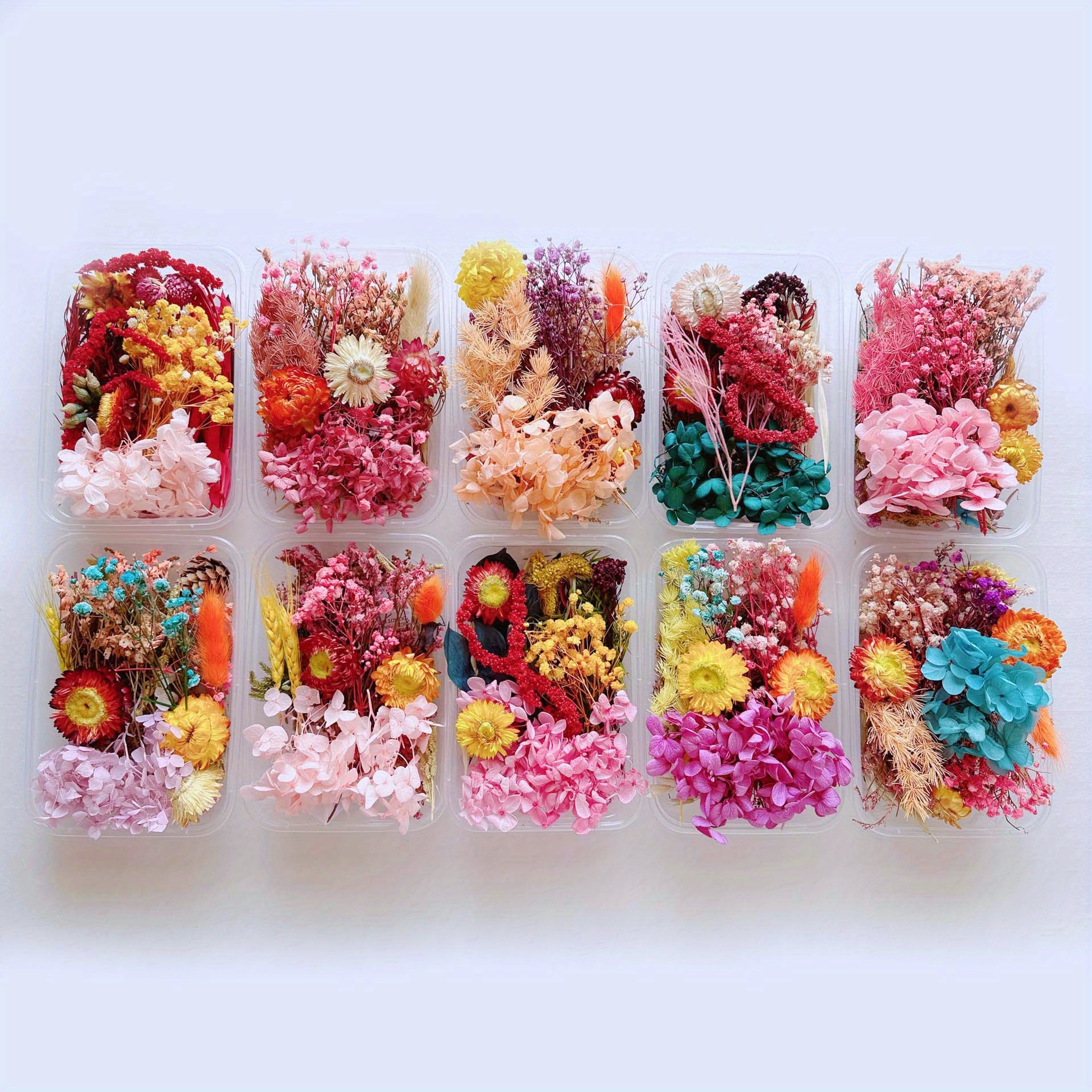 Random Style Mini Dried Flowers Bouquets Kit Real Dried - Temu