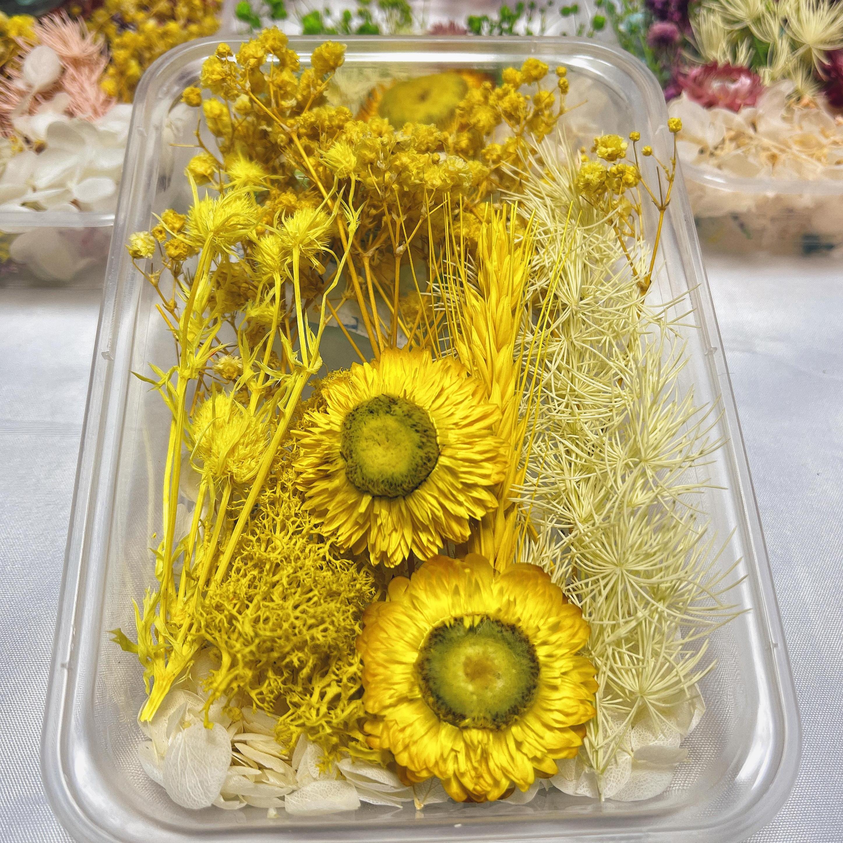 Real Dried Flower Resin Mold Fillings Uv Expoxy Flower Epoxy - Temu