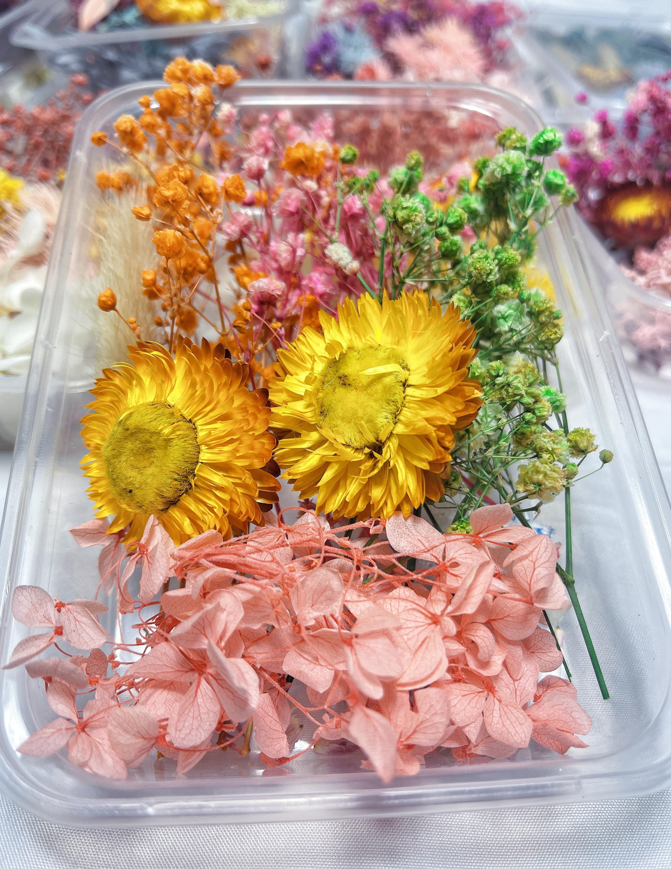 Real Dried Flower Resin Mold Fillings Uv Expoxy Flower Epoxy - Temu