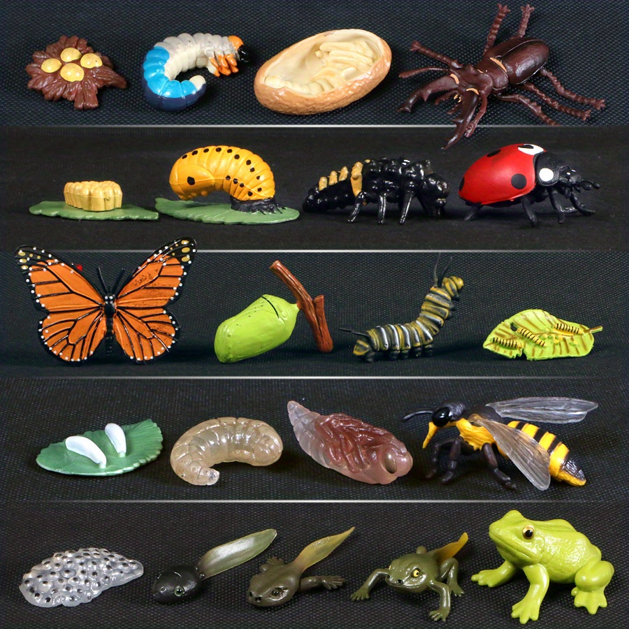 Nature Bound Bug & Butterfly Kit — Busy Bee Toys