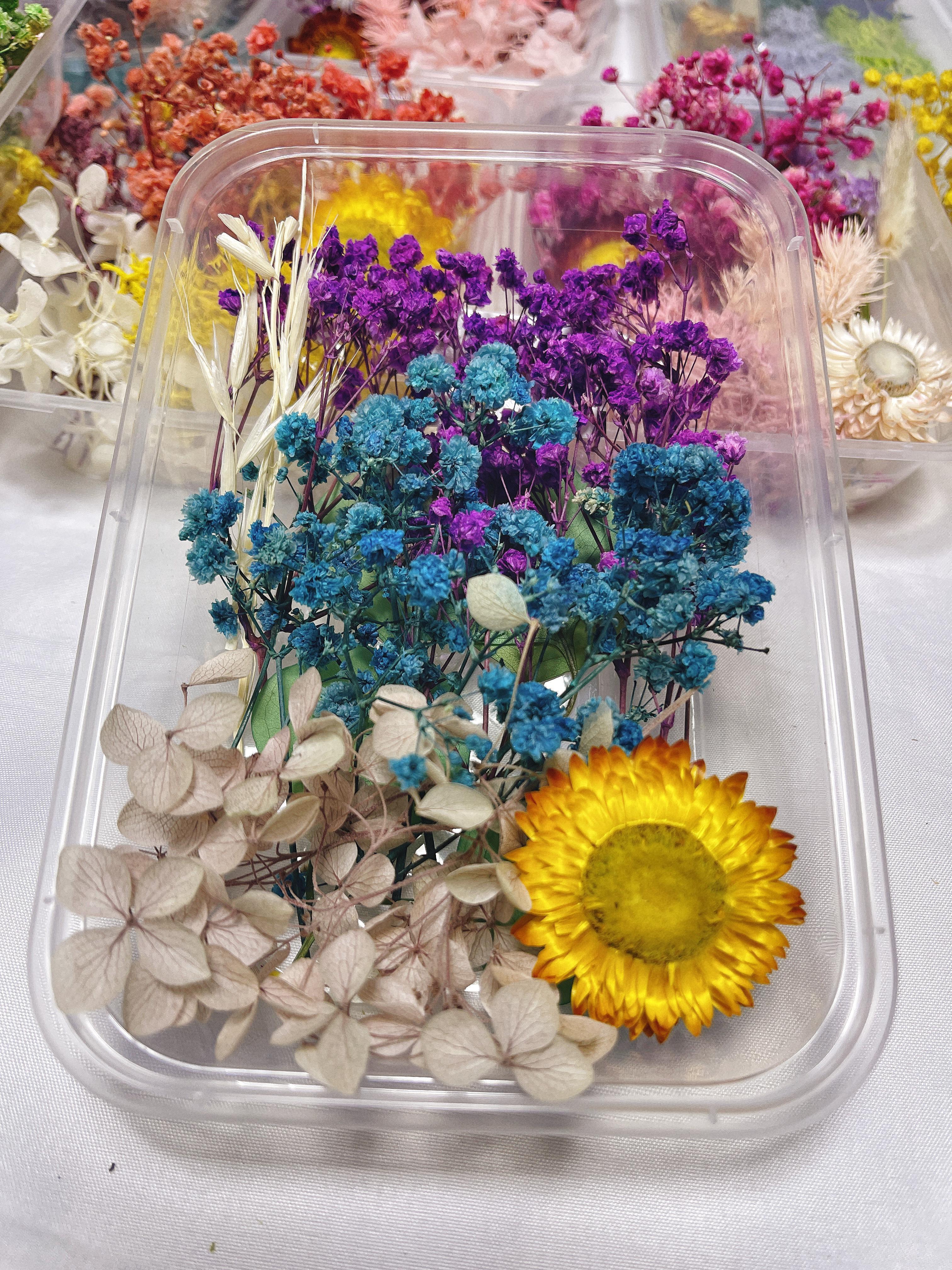 Real Dried Flower Resin Mold Fillings Uv Expoxy Flower Epoxy - Temu