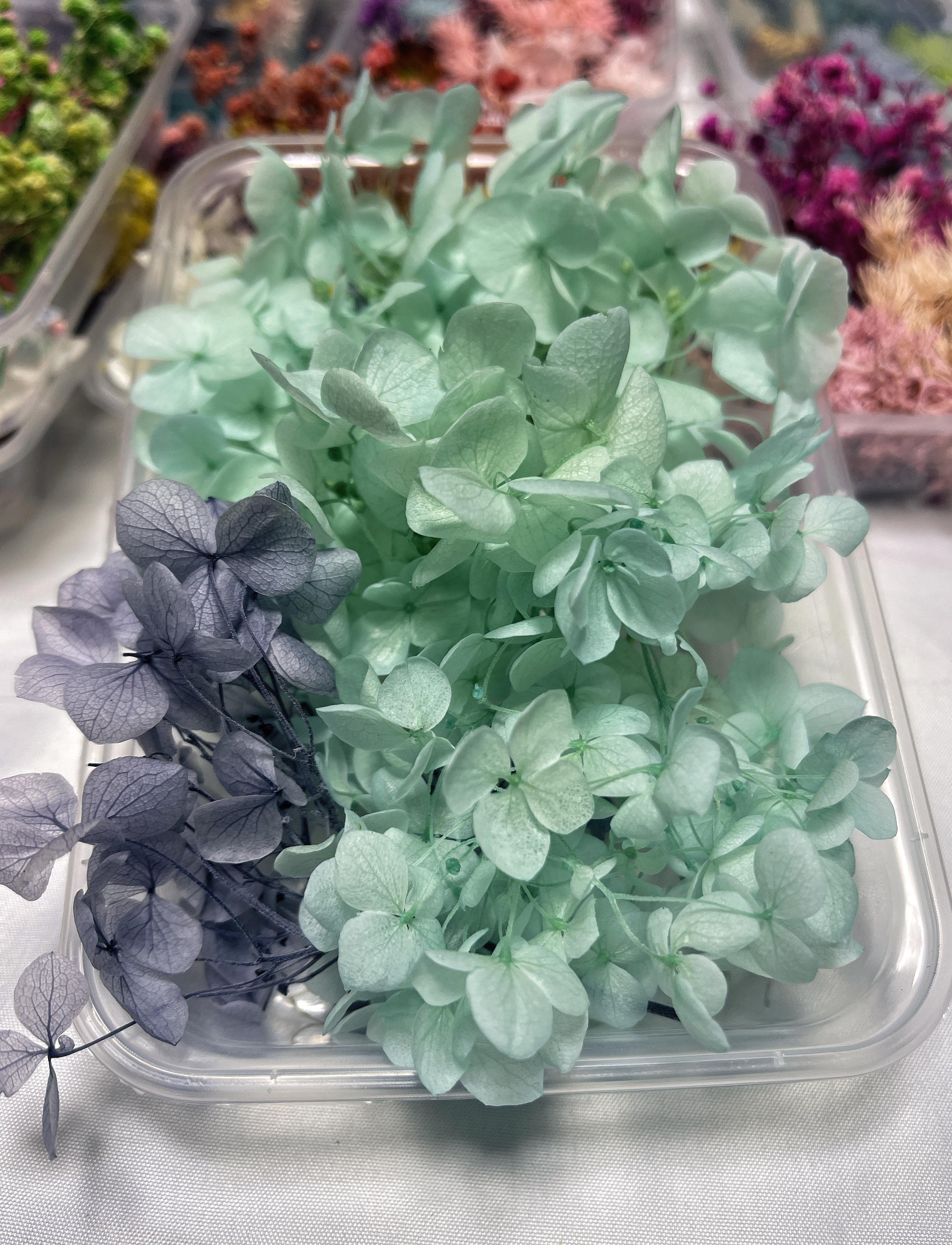 Real Dried Flower Resin Mold Fillings Uv Expoxy Flower Epoxy Temu