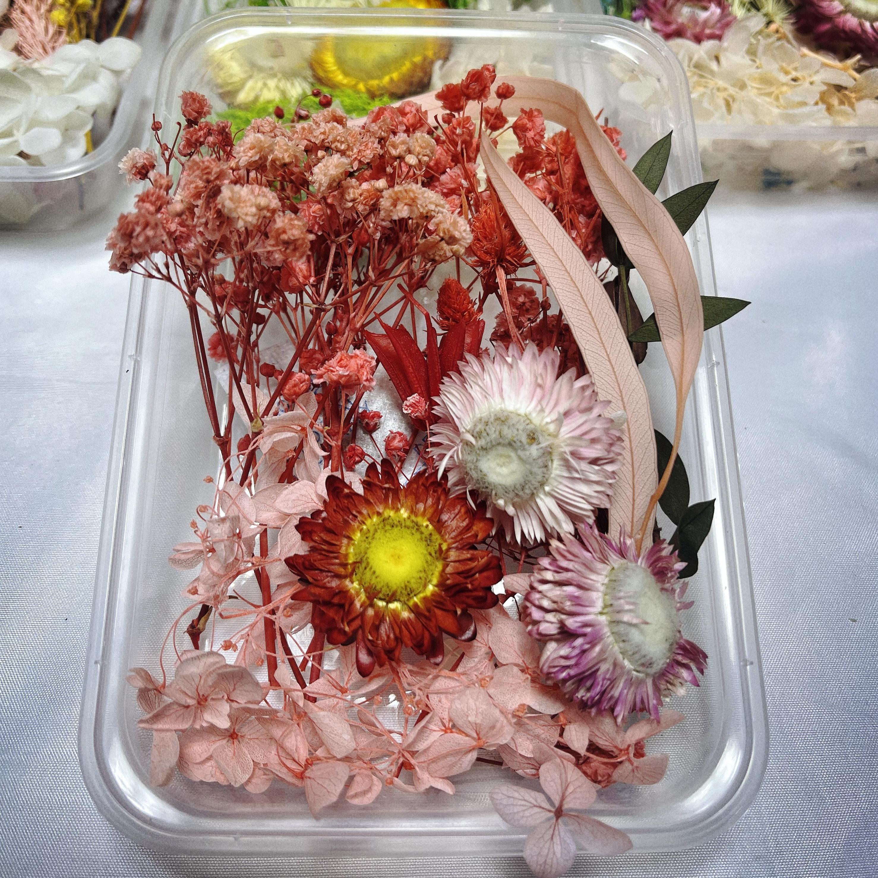 Diy Craft Dried Flower Materials Mixed Dried Flowers For - Temu