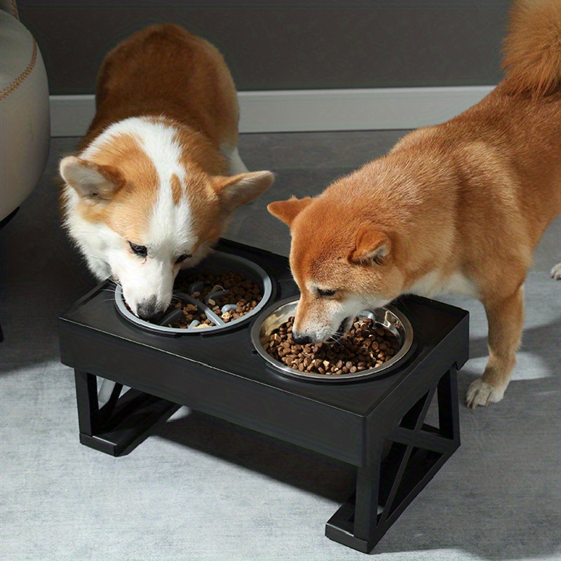 Elevated Pet Double Bowls With 3 Adjustable Height Stainless - Temu