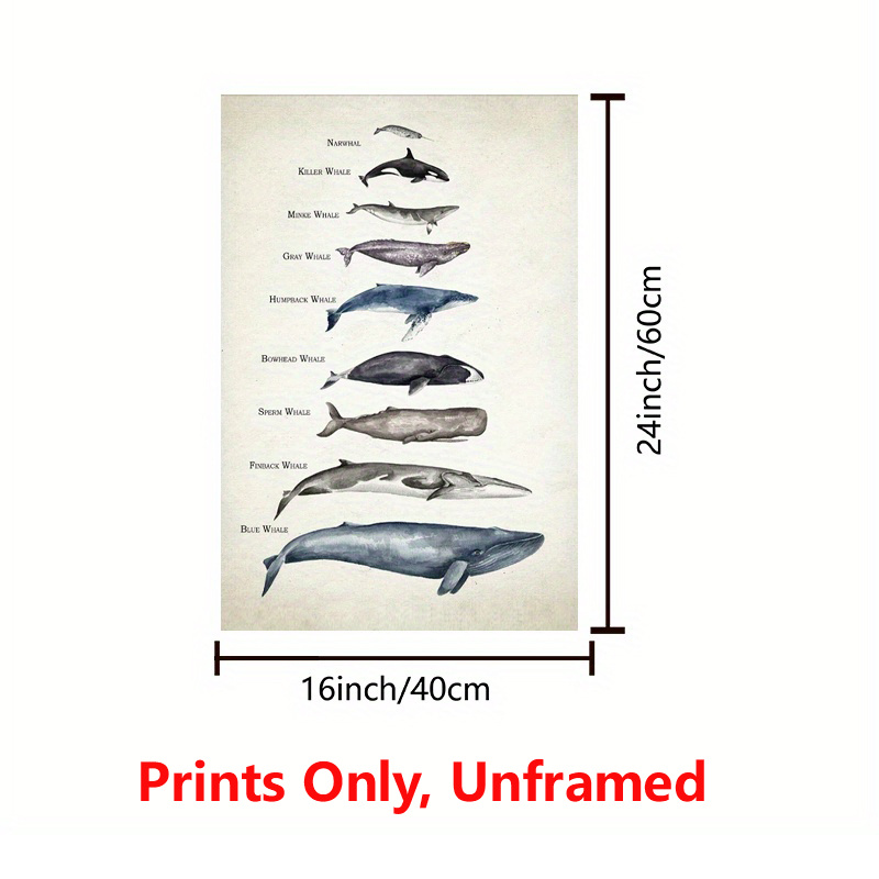 Educational Whale Canvas Print Kids Bedroom Decor Holiday - Temu Canada