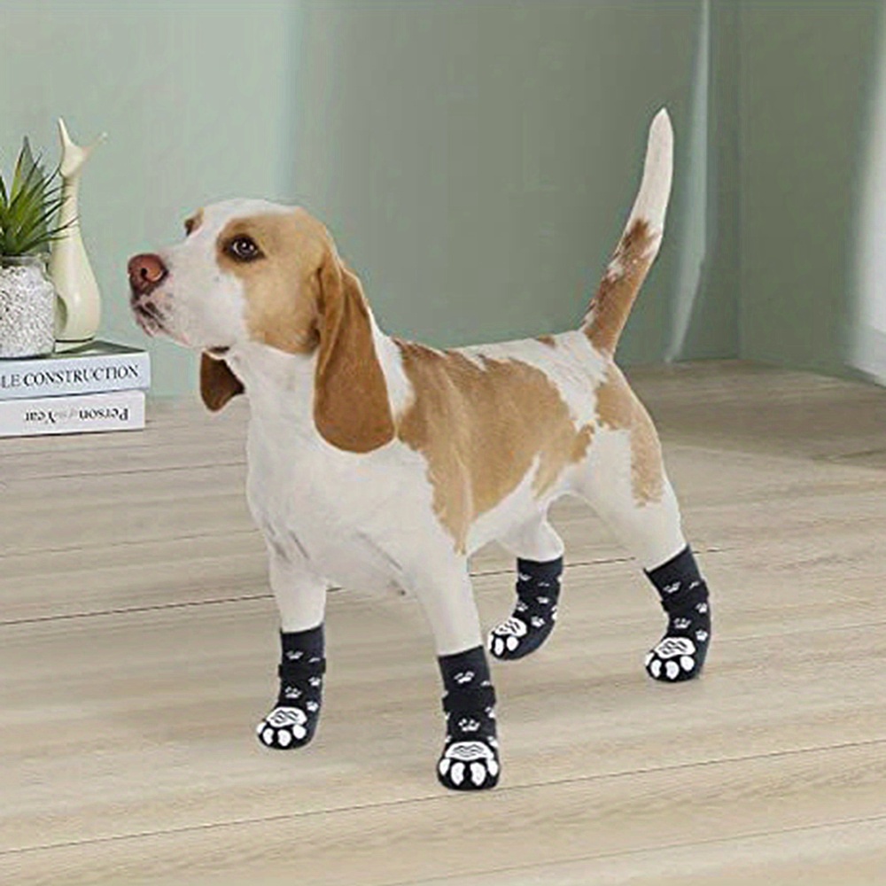 Indoor dog shoes best sale