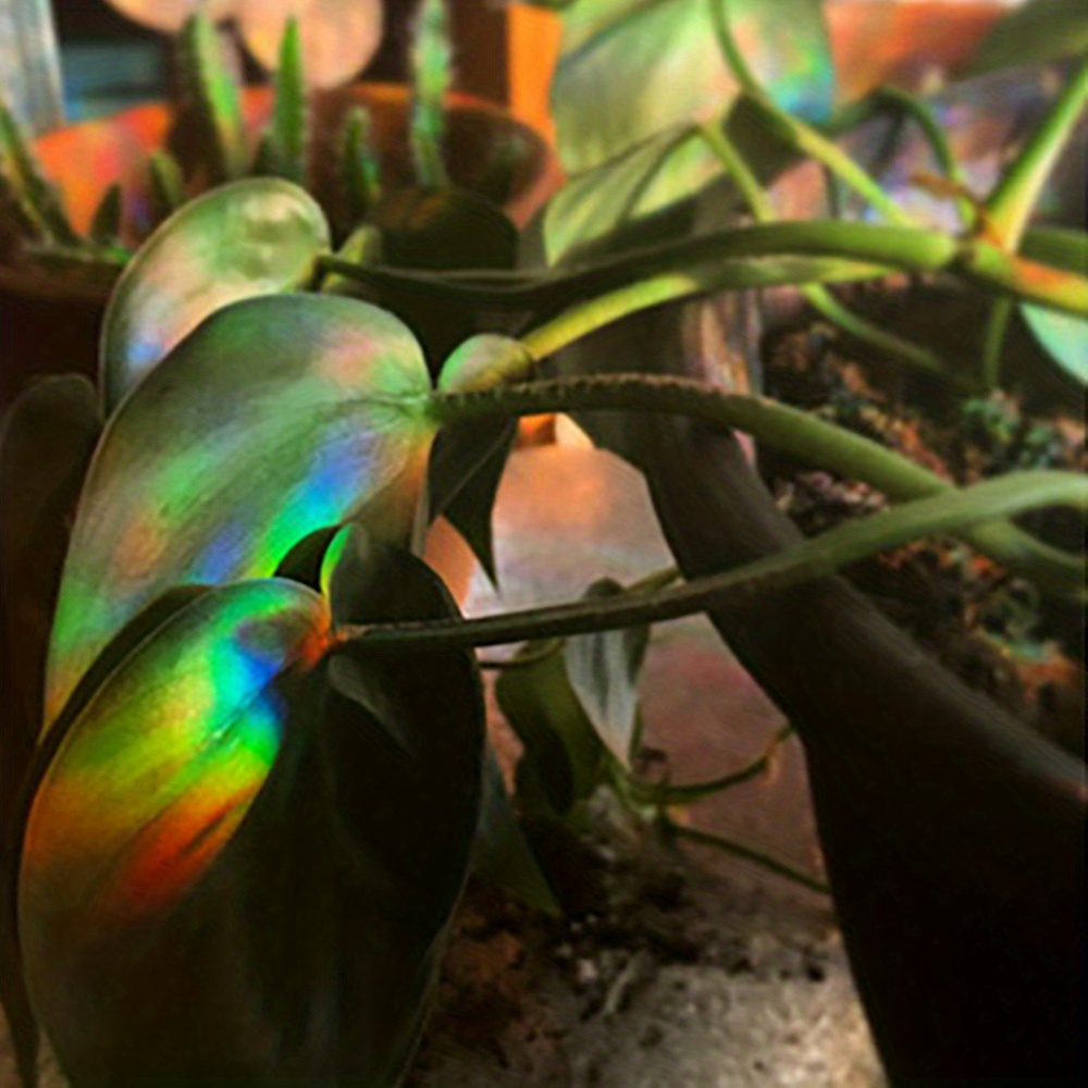 Rainbow Sun Catcher Window Stickers, Sun Catcher Sticker For Bedroom And Home Decor Add Color