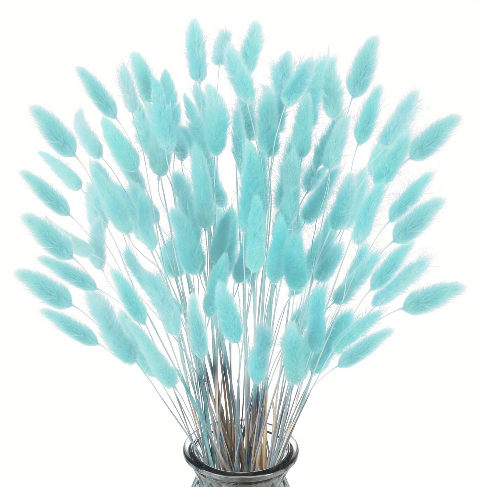 

60/120pcs Light Blue Lagurus, Bunny Tails Dried Flowers Boho Home Decor, Flower Arrangement Pampas Grass Wedding Table Decor Valentine's Day (it Has Been Processed And Poses No Pest Risk)