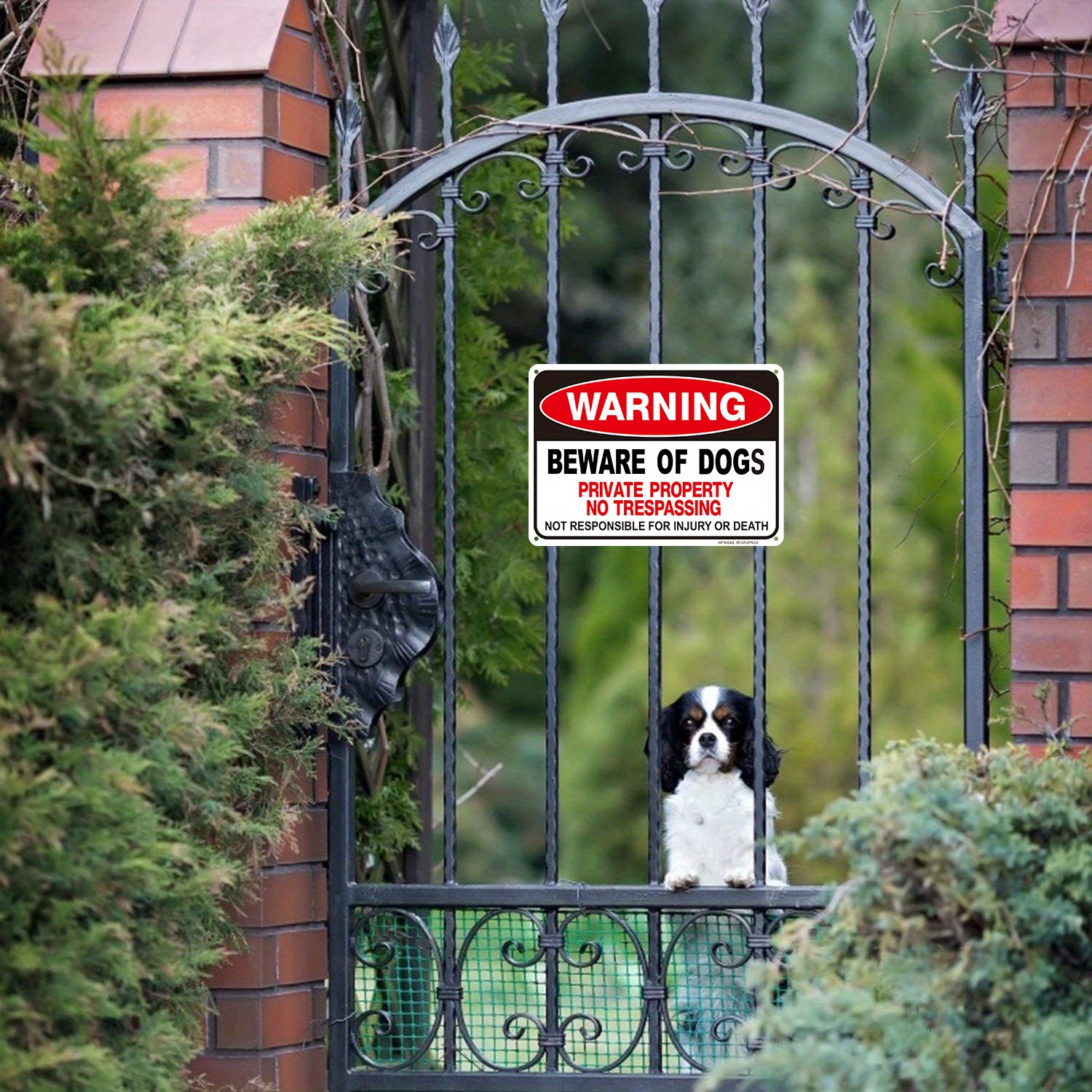 Acheter Méfiez-vous des chiens, panneau d'avertissement en métal, panneau  de garde pour chien, décoration murale, panneau de cour, panneaux  métalliques d'interdiction d'intrusion