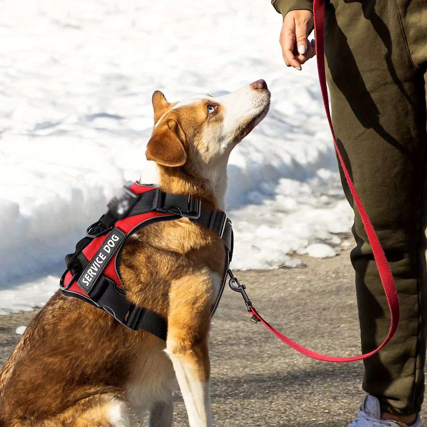 Dog Vest Harness For Service Dogs Comfortable Padded Dog - Temu