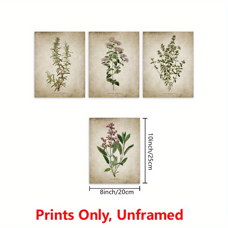 4Pcs Vintage Botanical Poster Herb Wall Art Prints Herb Poster Kitchen Wall  Decor Plants Wall Art Canvas 10X8 Inch Frameless - Home & Kitchen - Temu