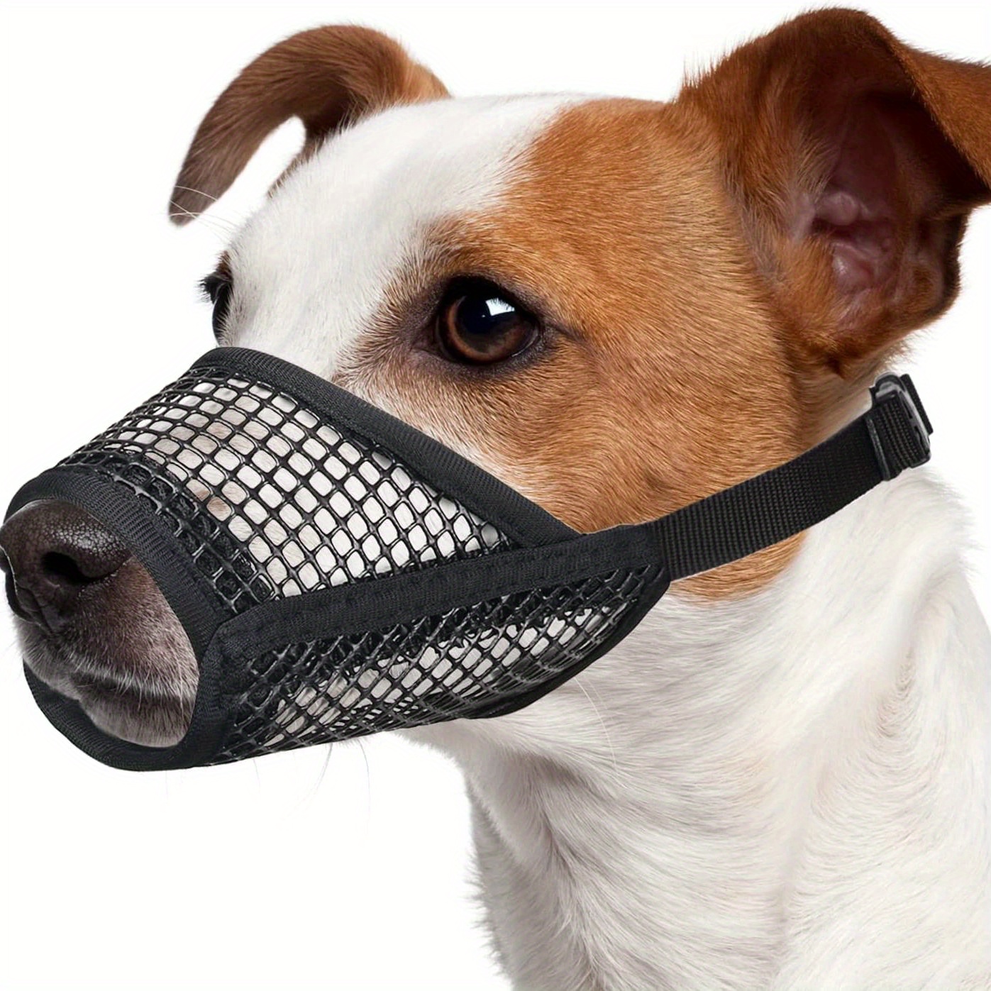 Acquista Copri bocca per animali domestici, utili museruole rivestite in  rete morbida per cani di taglia piccola, media e grande, copri bocca per  cani traspirante in rete