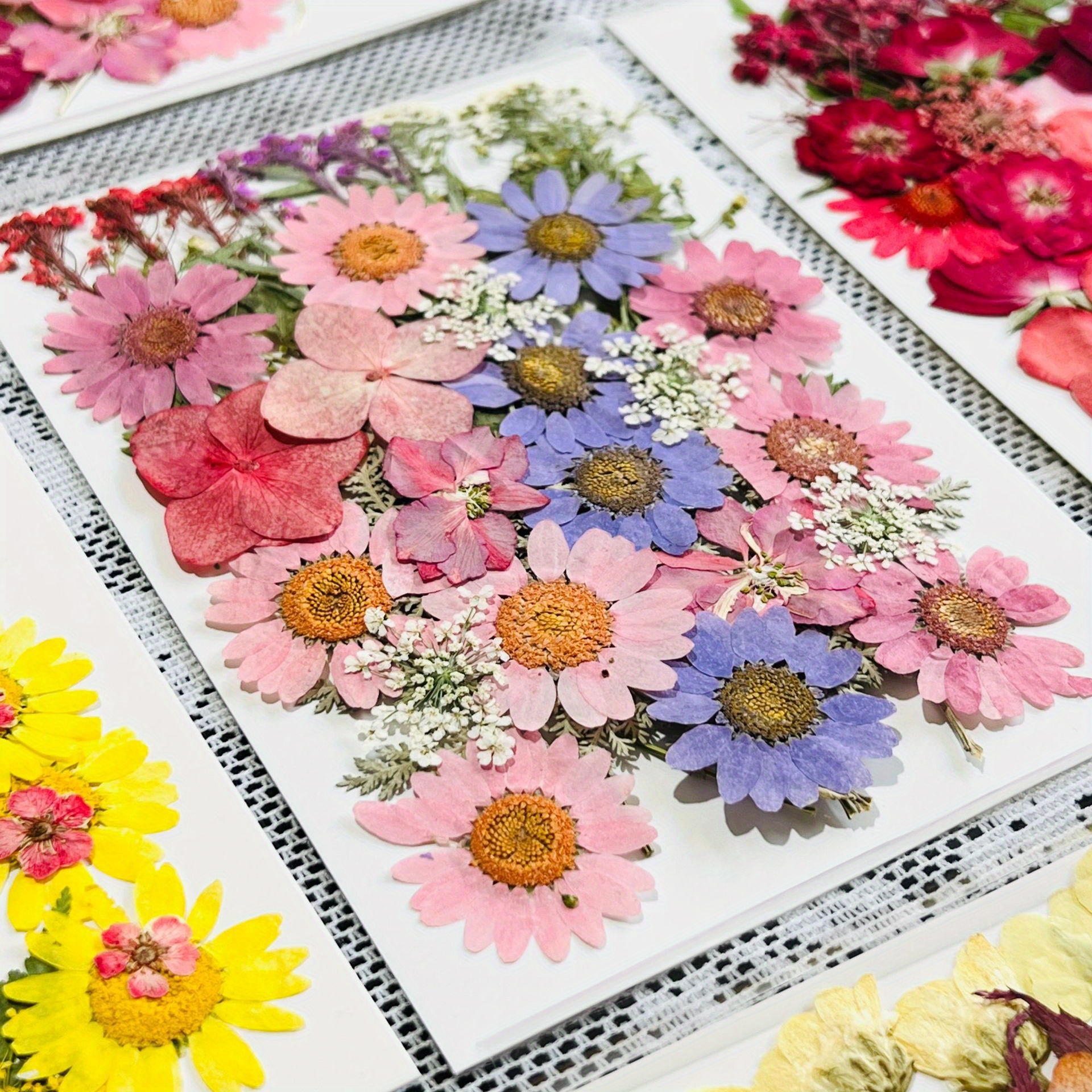 Wholesale 5 Bags 5 Patterns Pressed Dried Flowers 