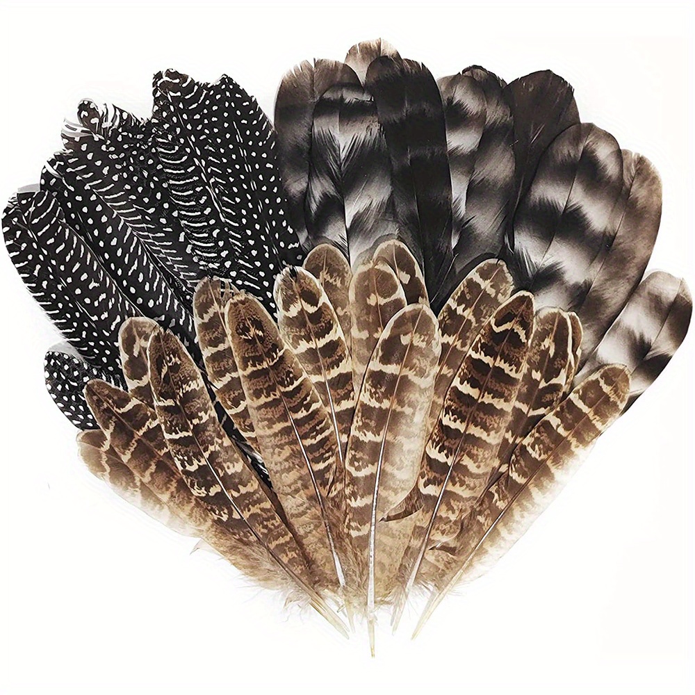 Natural Turkey Spotted Feathers Craft Feathers Pheasant For - Temu
