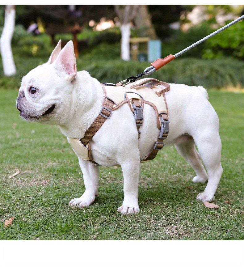 Tactical French Bulldog Harness