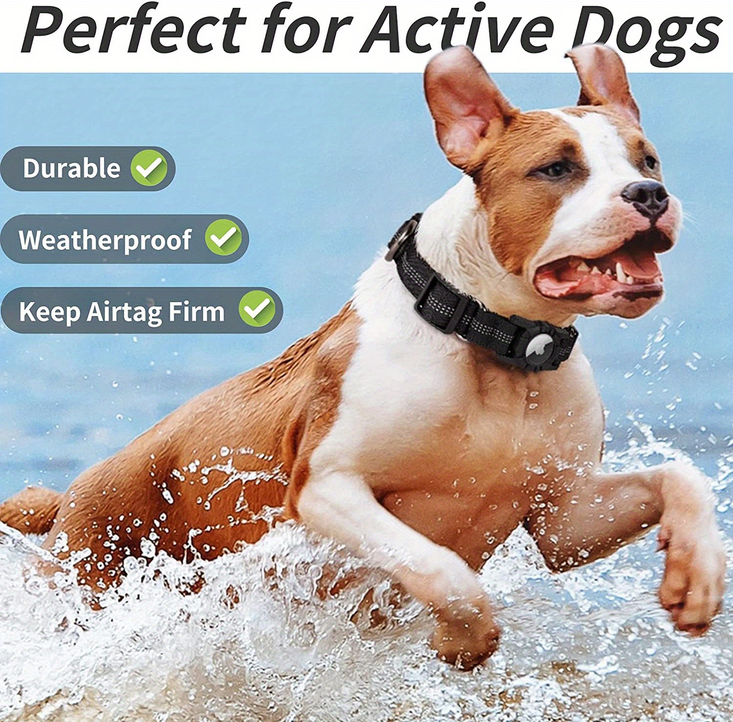 Heavy Duty Dog Collar for Active Dogs