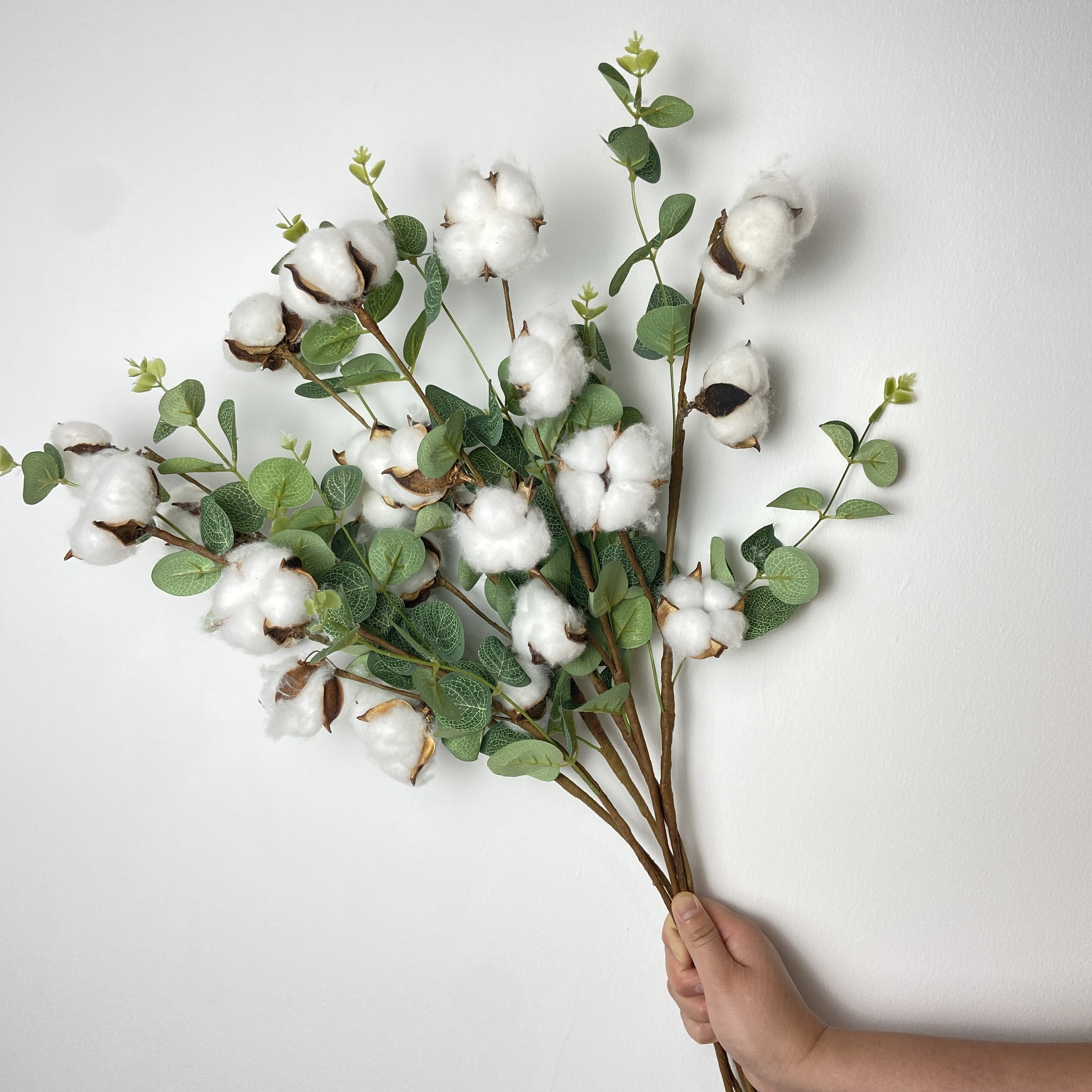  XHSP 5 tallos de algodón, flores de algodón natural, púas de  algodón seco, rama de flores secas de 21 pulgadas, 10 cabezales, relleno de  exhibición de granja, para decoración de boda
