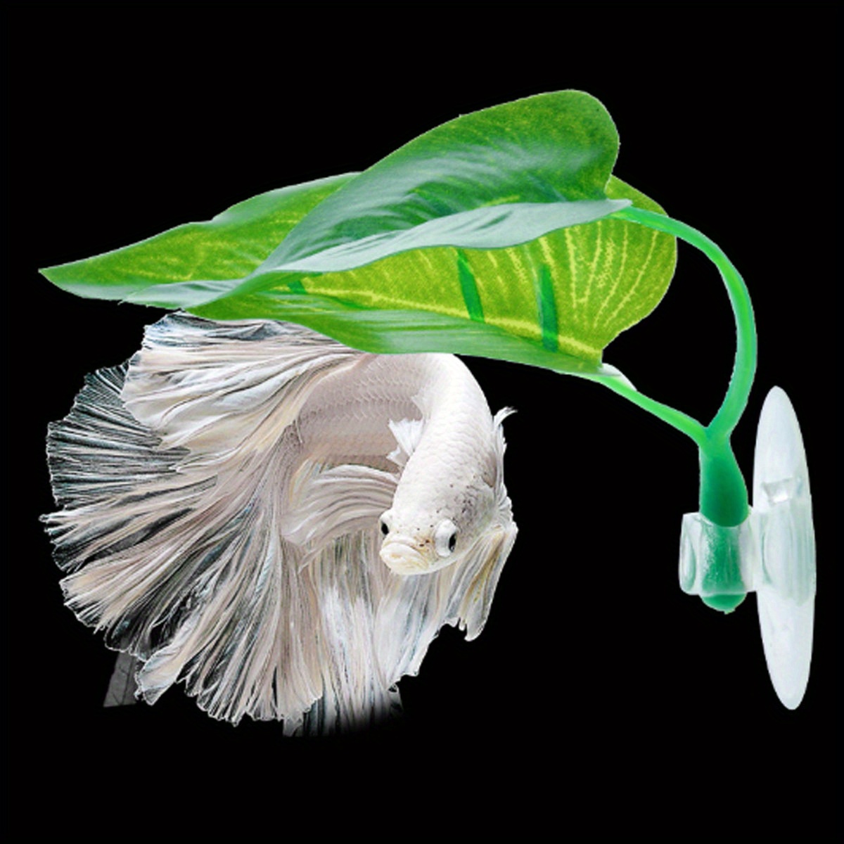 5pcs Betta Fish Rest Leaves Betta Leaf Bed Fish Tank Landscape