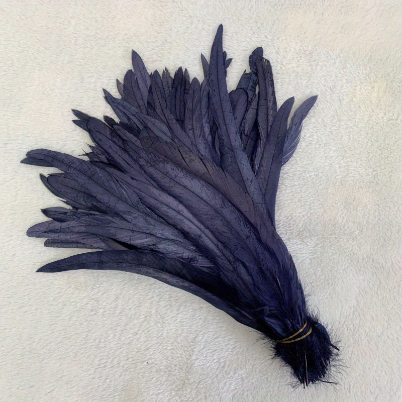 Real Black and Red Rooster Tail Feathers for Crafts from Humanely