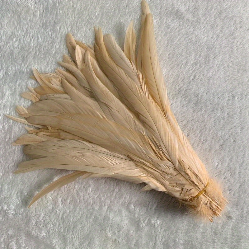  Pheasant Feather 10 PCS White Feather Natural
