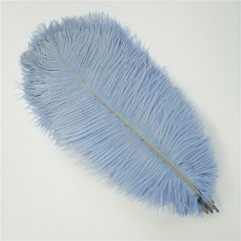 Jeniorr - Plumas de avestruz azul real para manualidades, disfraces de  carnaval, decoraciones de boda, plumas, avestruz, plumas