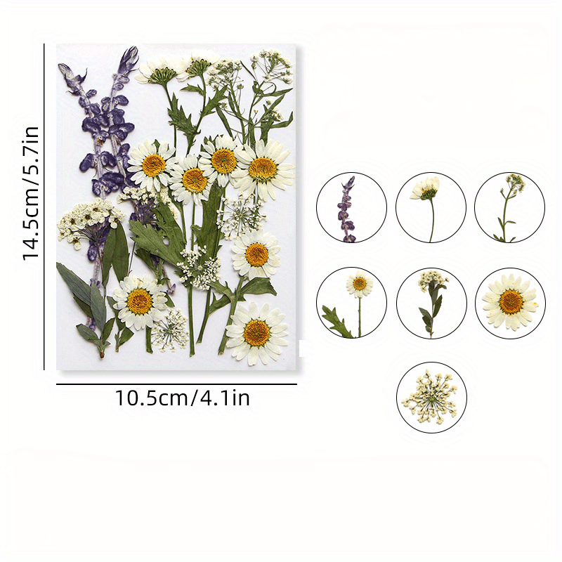 Dried Pressed Flowers Kit: Perfect For Resin Scrapbooking - Temu