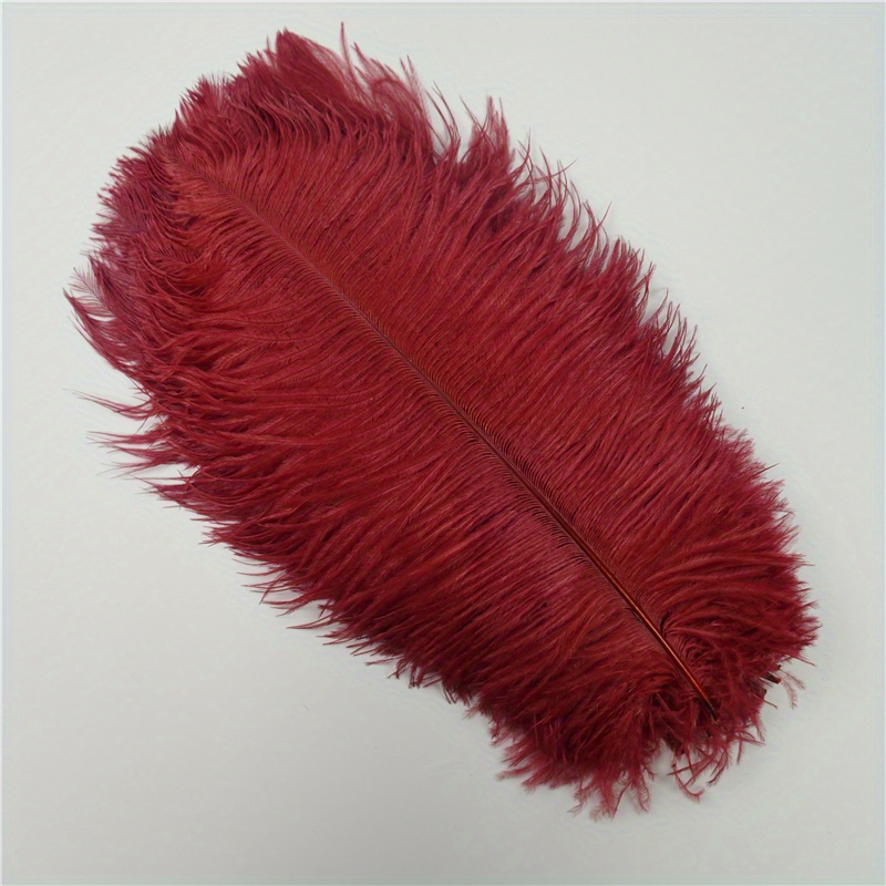  Zamihaala - 10 unidades/lote de 15 a 27.6 in, plumas rojas,  plumas de avestruz grandes para manualidades, decoración : Arte y  Manualidades
