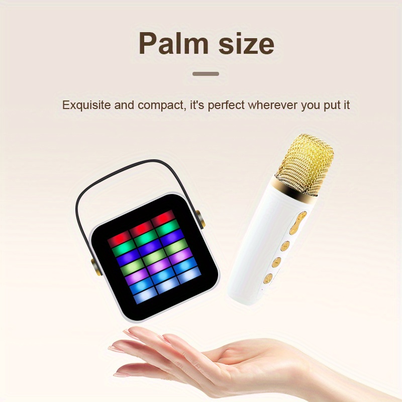 Karaoke Speaker System