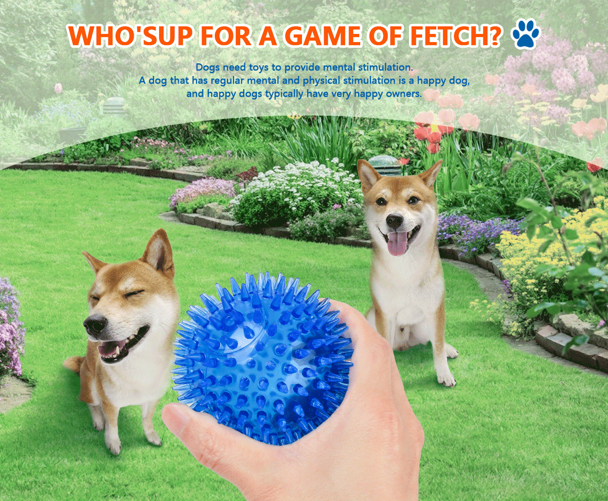 HAREDIG 3.5 Dog Toys Ball, 3Pack Squeaky Chewing Toy Balls, Spikey Dog  Balls, Dog Chew Toy for Teeth Cleaning, Interactive Fetch Toys for Small