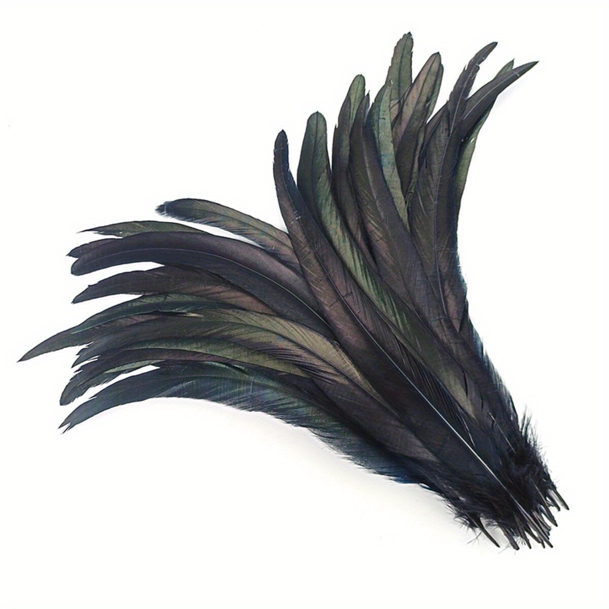 Pheasant Feathers  Pheasant feathers, Feather art, Feather identification