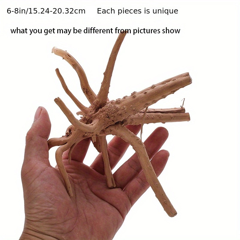 Small Spider Wood / Cuckoo Root-Approximate Size 6-12 - Lifegard