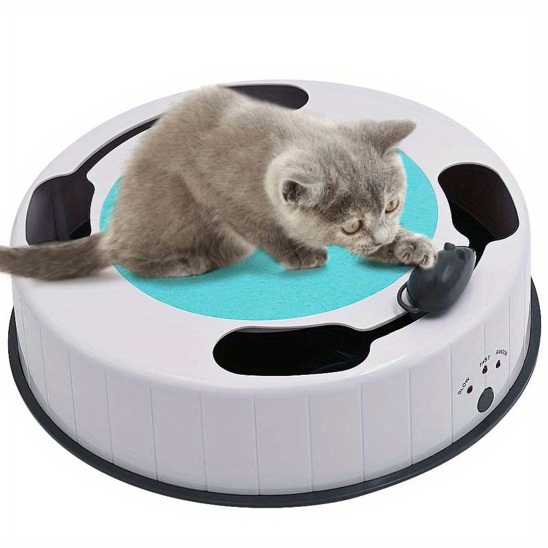 Jouet interactif pour chat pour chats d'intérieur, jouets télécommandés et  jouets pour chatons avec rechargeable par USB, roues à led colorées,  meilleur compagnon de jeu, cadeau pour chats (gre