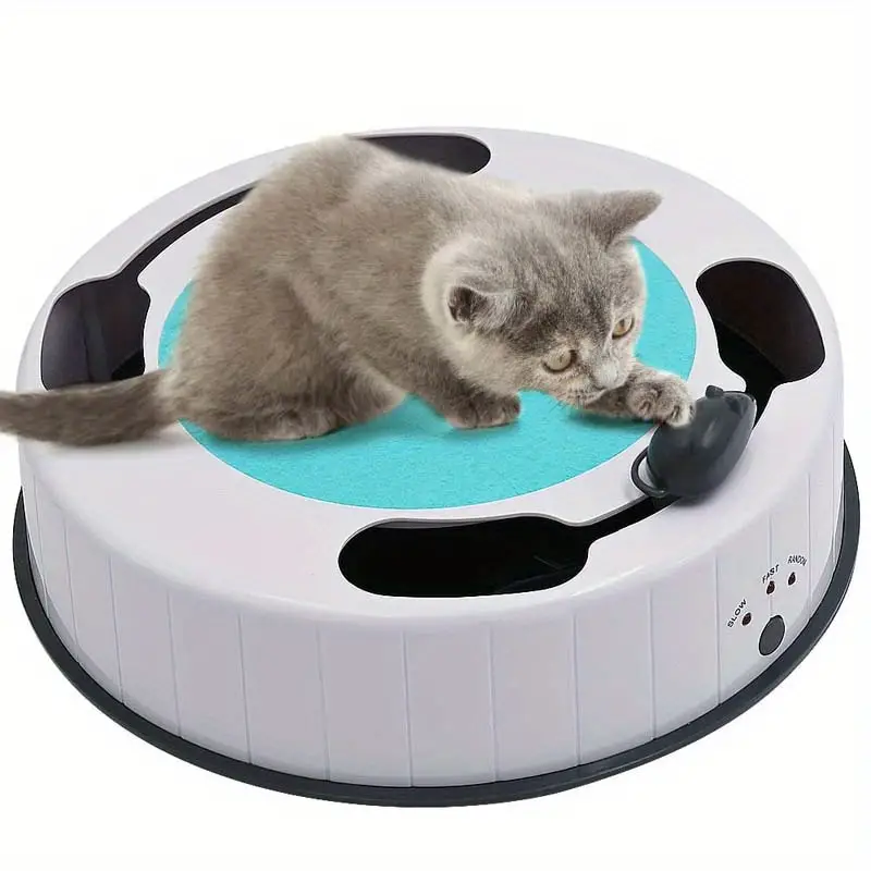 Interactive Cat Toy Kitten Toys