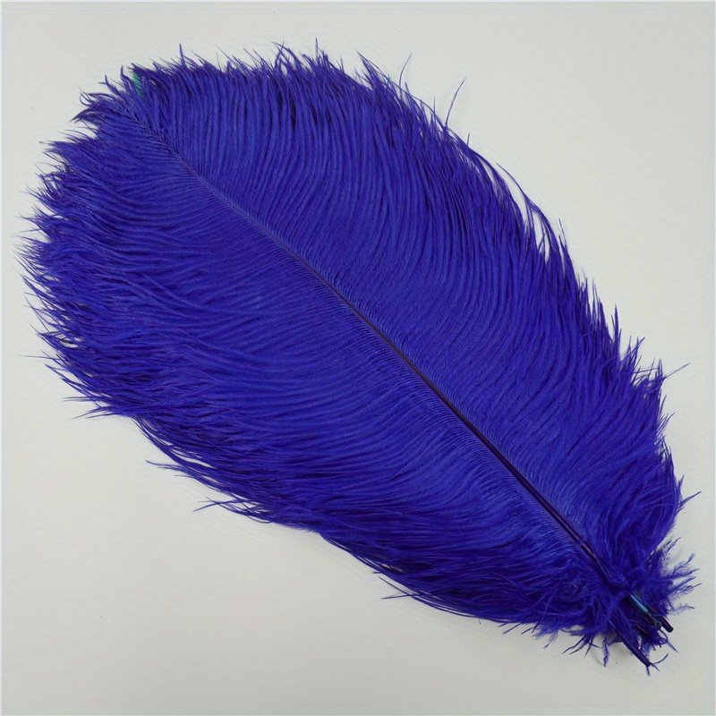 Sowder Ostrich Feathers Costumes Decoration