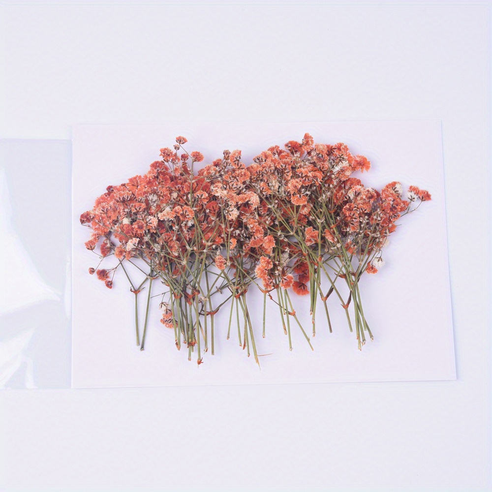 12 Pieces Real Pressed Flowers Dried Babys Breath Blossoms for Scrapbooking Wedding Invitation Card Making Phone Case Decoration DIY Mat, Size: 5-10mm