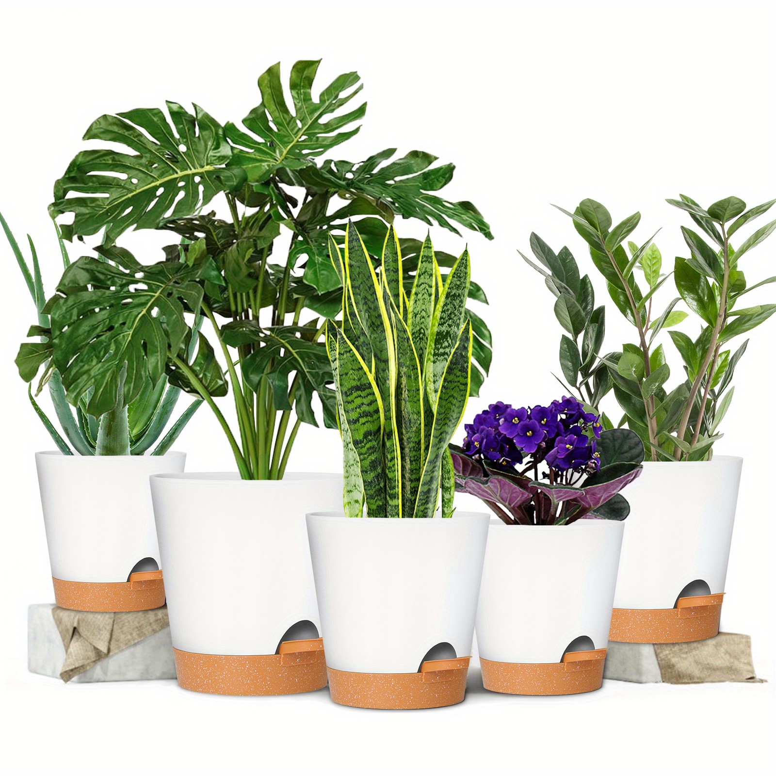 Lot de 6 pots de 12,7 cm à arrosage automatique avec indicateur d'eau pour  intérieur, petits pots de violette africaine pour plantes, plantes à  araignée, orchidées (gris) : : Terrasse et Jardin