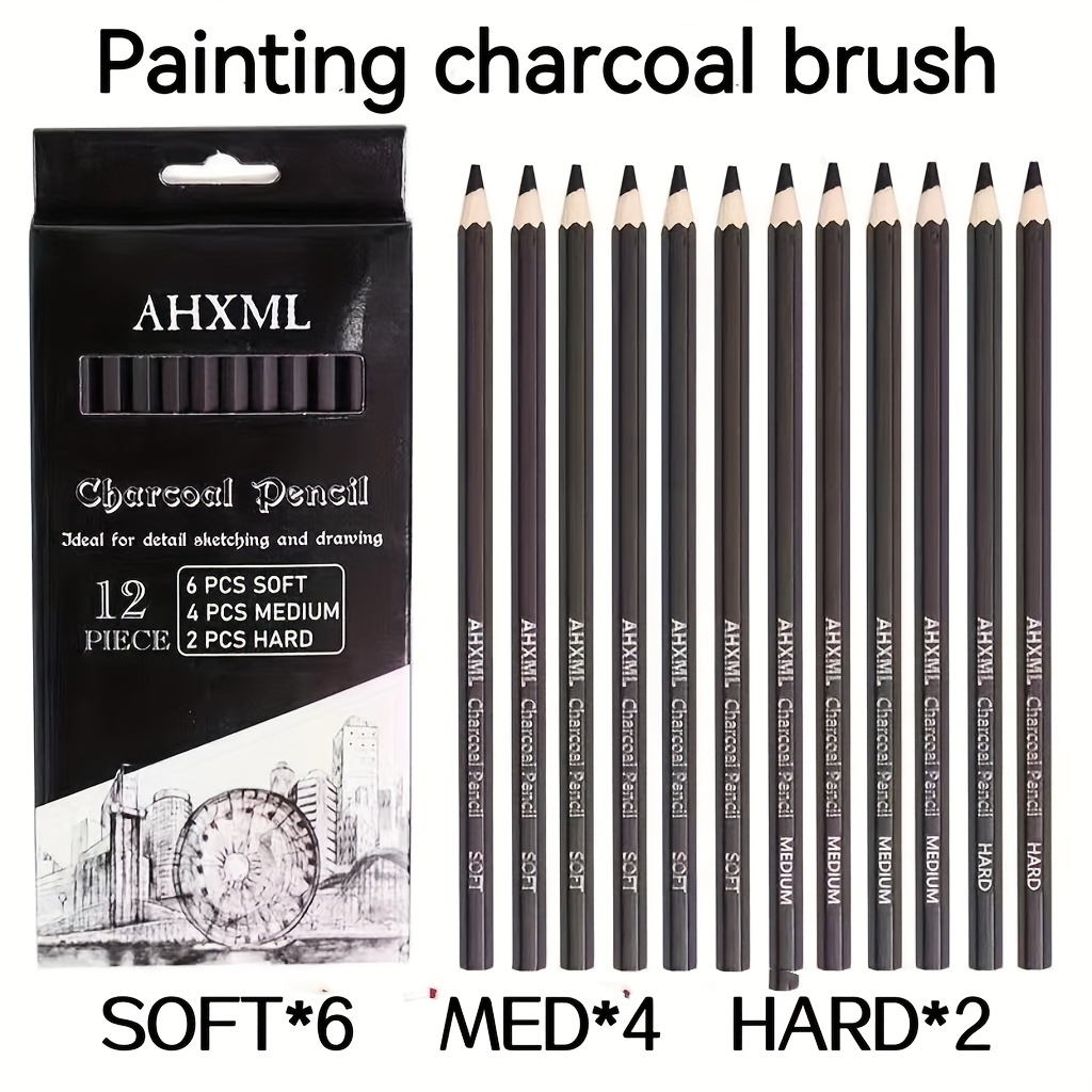 Penna A Carboncino Da Disegno Professionale Morbida/media/dura Per Pittura  E Studenti D'arte 1 Scatola Di 12 Pezzi