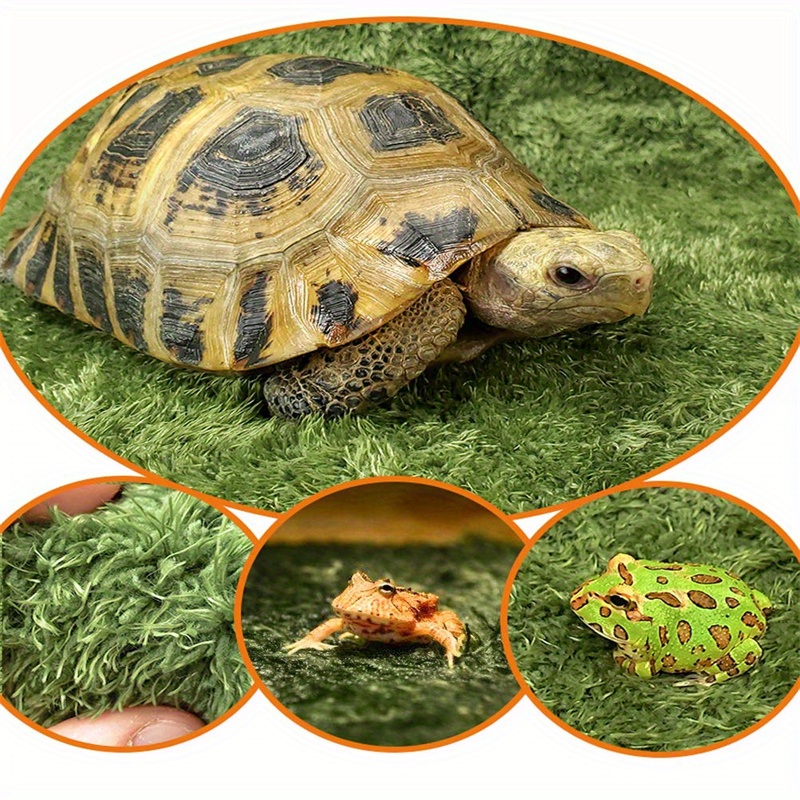 Moss Reptile Carpet Crawl Pets Pet Terrarium Liner Reusable - Temu