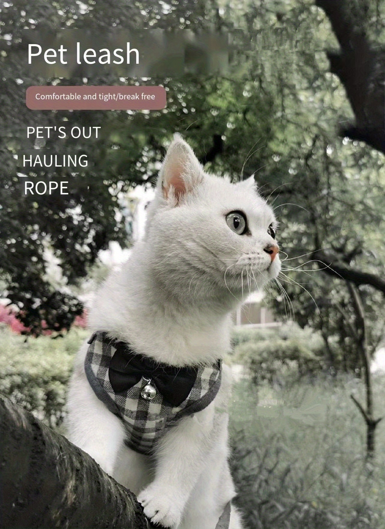 Barn Eleven Squirrel Harness & Leash Set – Adjustable Vest With Anti-Biting Chain, Includes Free Collar (Pink)