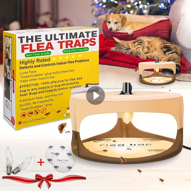 Eliminate Bed Bugs Instantly With Sticky Dome Flea & Bed Bug Trap Indoor Pest Control Temu