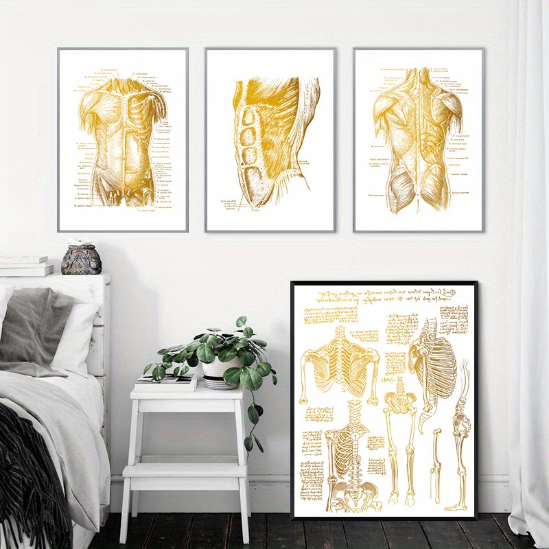 1 pezzo Poster introduzione per anatomia di umano tela , HD senza cornice